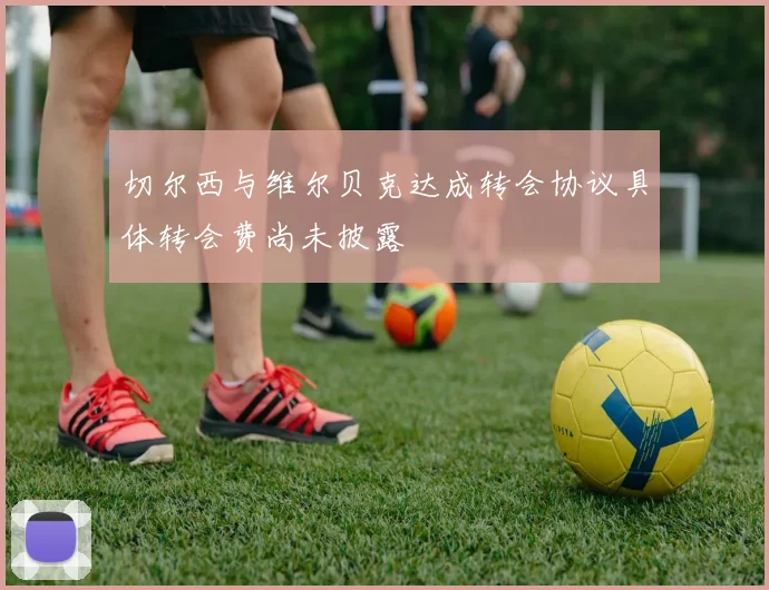 切尔西与维尔贝克达成转会协议具体转会费尚未披露